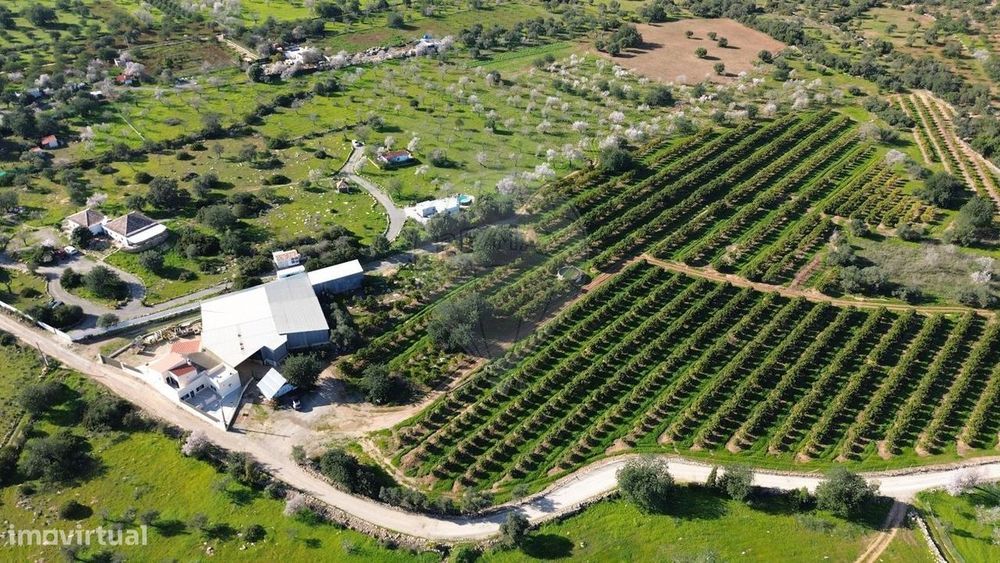 Moradia T3 para venda