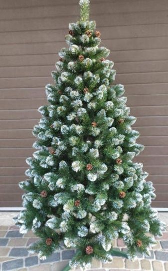 Оптова база ялинок від 1 метра до 2.80