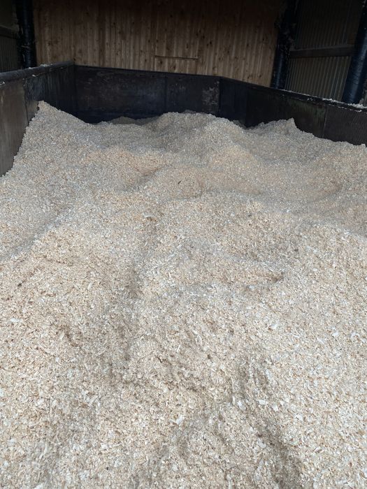 Тирса, стружка суха,трачина