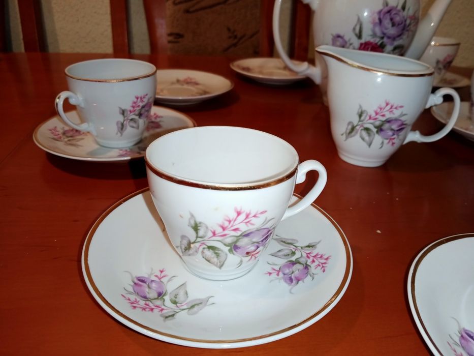 Serwis Włocławek porcelana róże