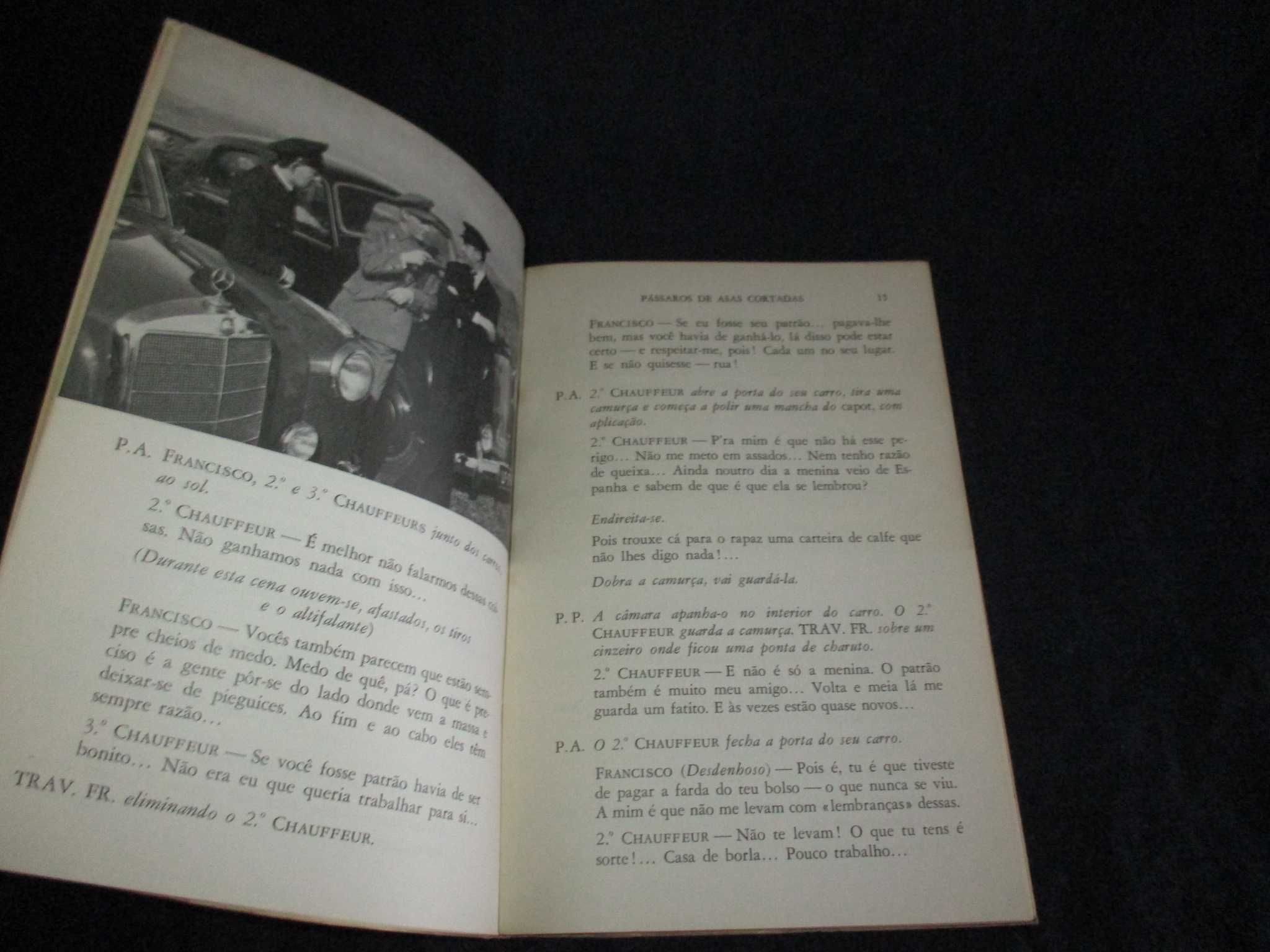 Livro Guião Pássaros de Asas Cortadas Luís Francisco Rebelo