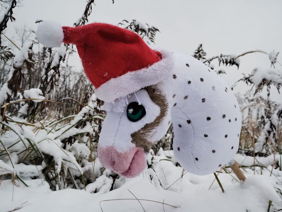 Śliczny hobby horse a4