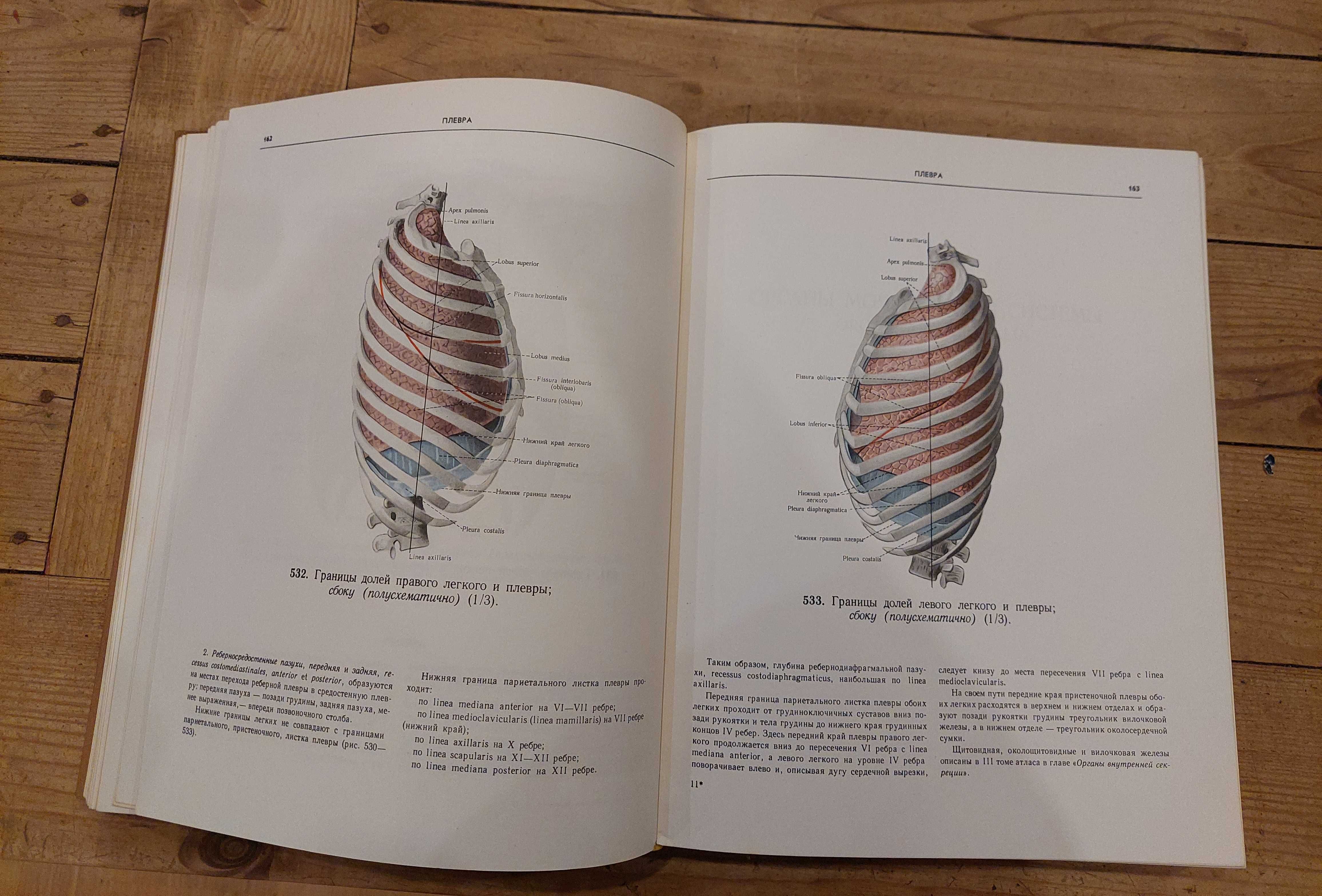 Atlas anatomii człowieka (trzy tomy), R.D. Sinielnikow