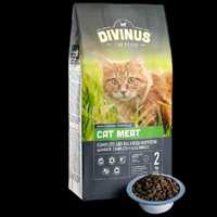 DIVINUS CAT MEAT 2 KG karma dla kotów dorosłych