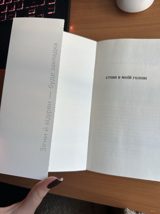 Стіни в моїй голові Володимир Станчишин
