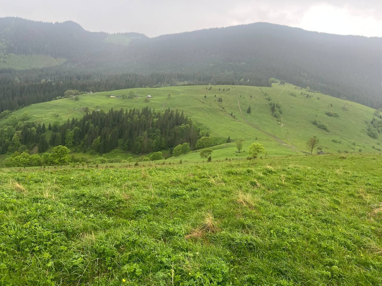 Продається земельна ділянка