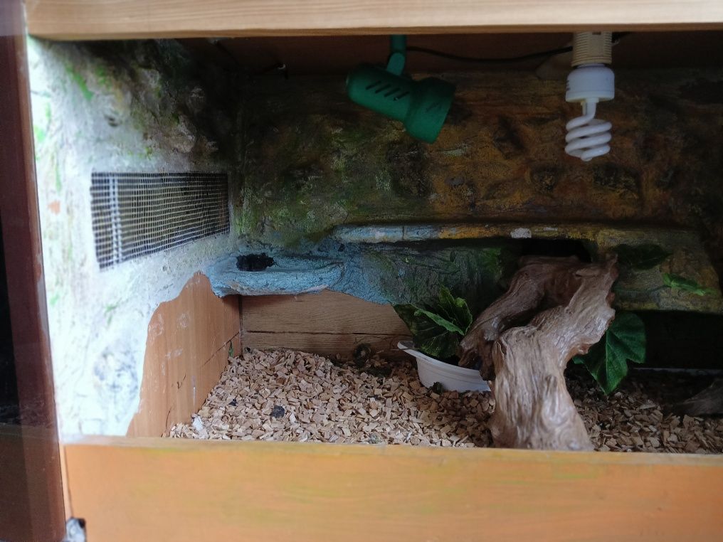 Terarium dla agamy itp