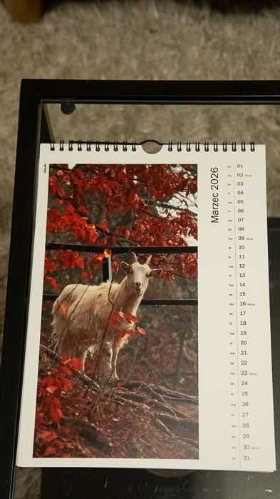Kalendarz Rok Pełen Natury 13