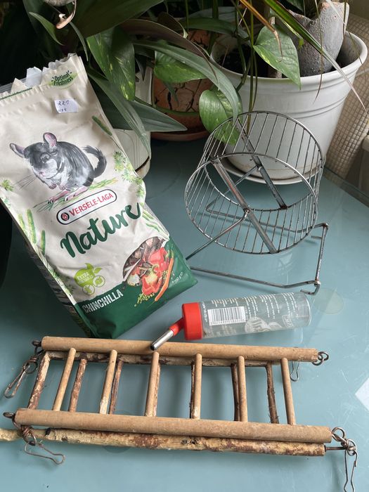 Karna i akcesoria dla gryzoni. Kolowrotek