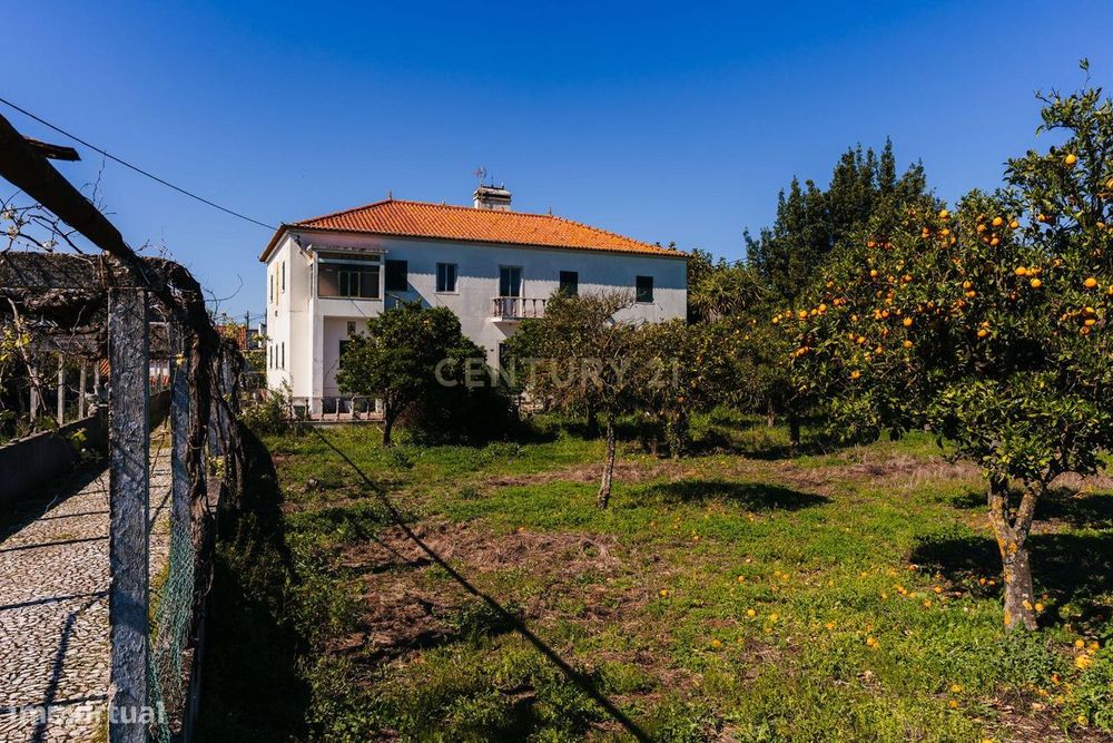 Propriedade com 11 divisões para recuperação em Estremoz com uma área