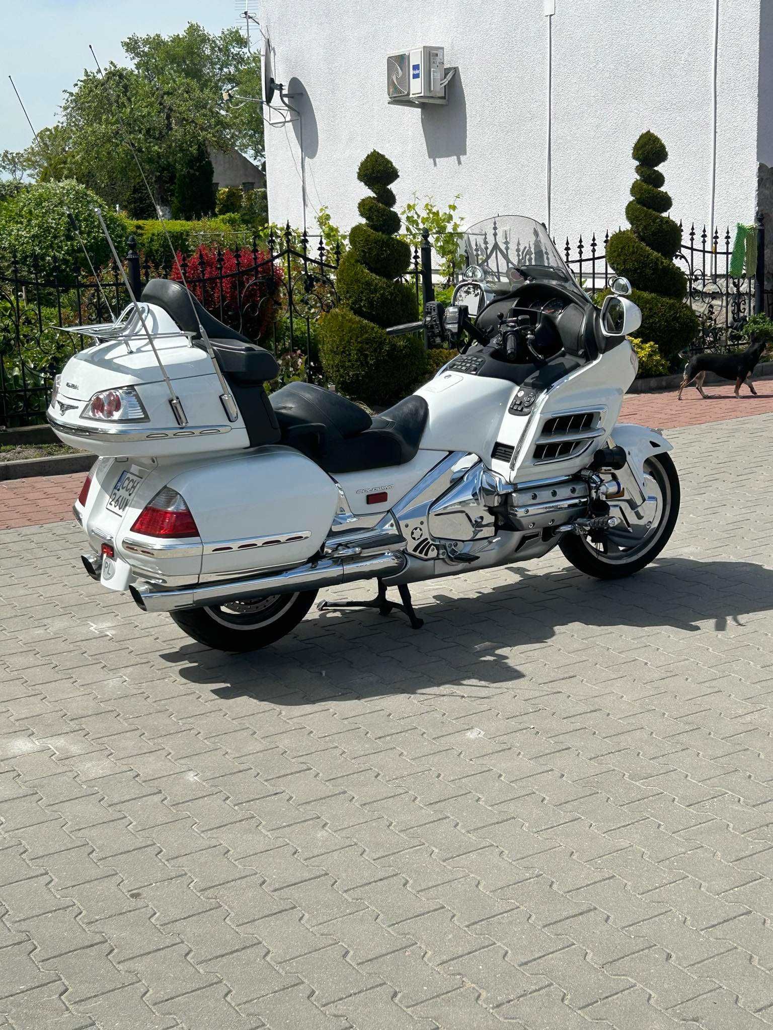 Honda gl 1800 w bogatej wersji.