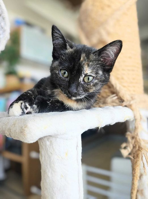 MEWA I BURZA wciąż marzą ...