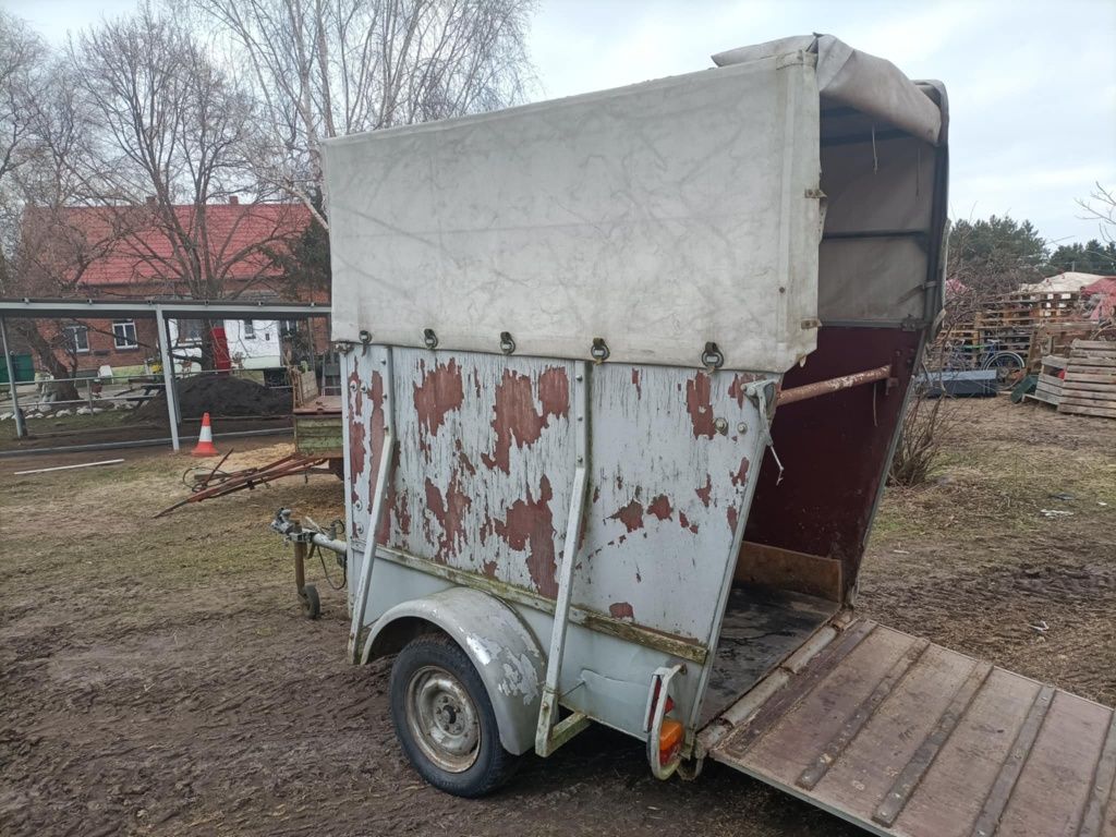 Do koni przewozów