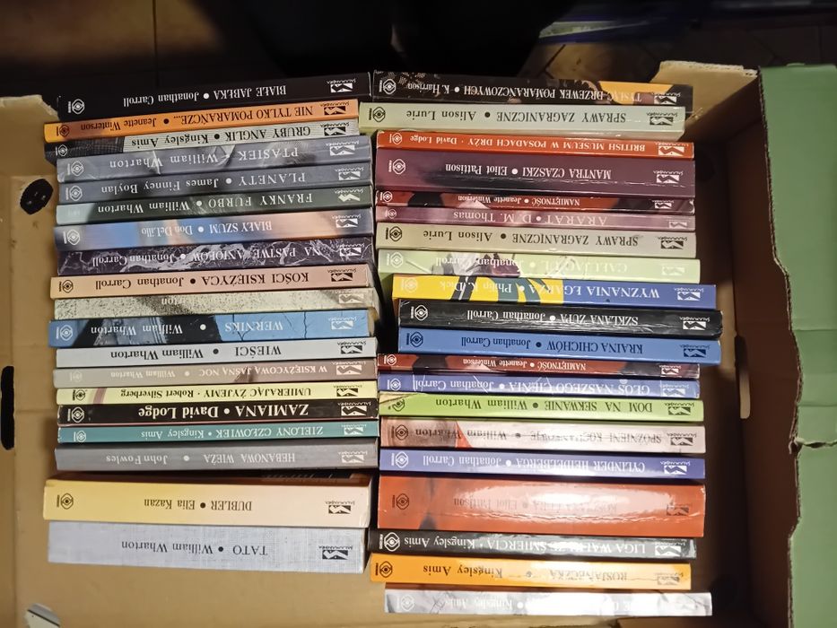 Kolekcja książek z serii Salamandra – Rebis – klasyka literatury