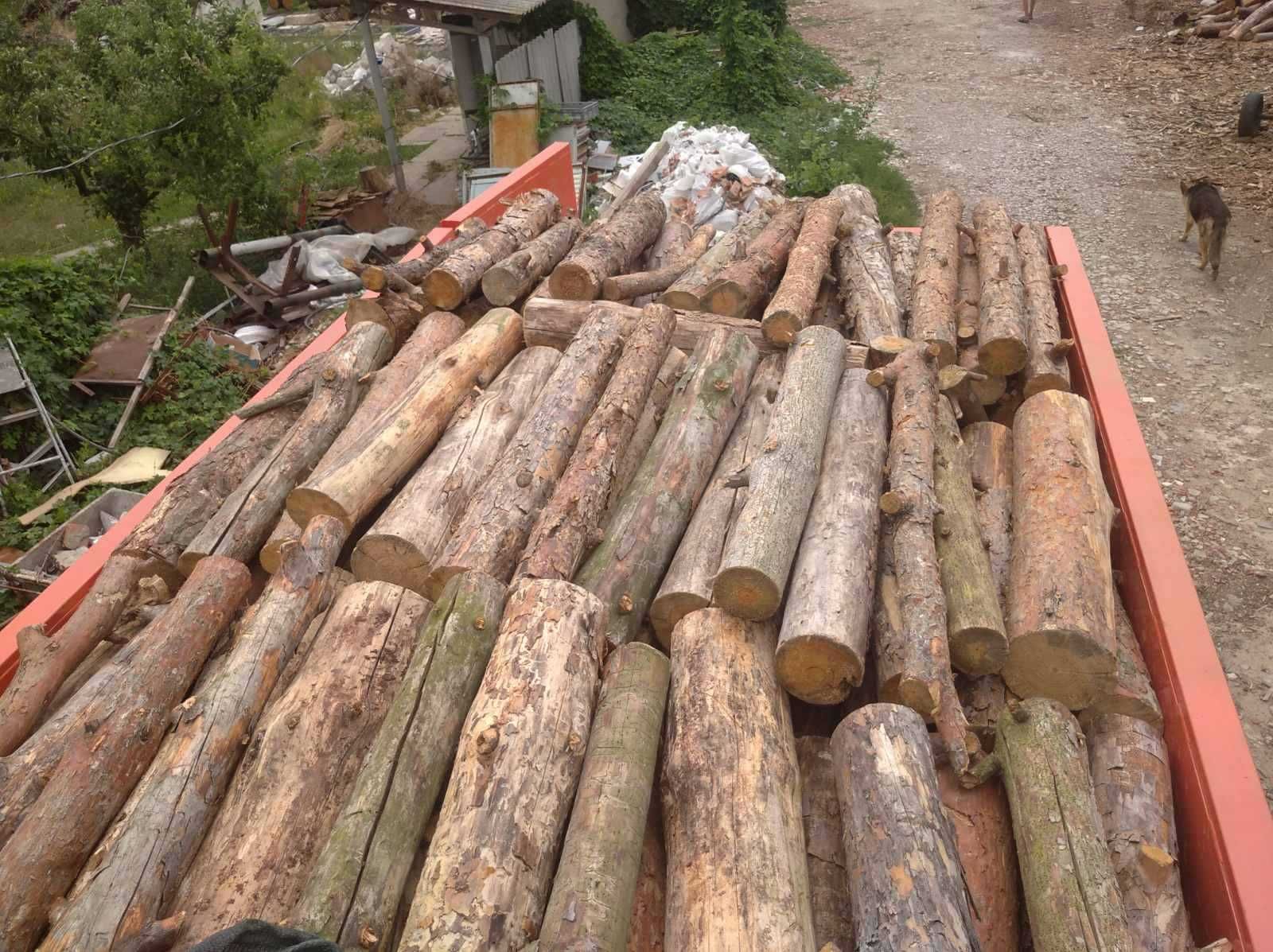 Купуйте якісні дрова оптом та в роздріб в Одесі та області