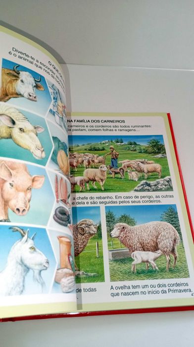 Dicionário por imagens da Quinta