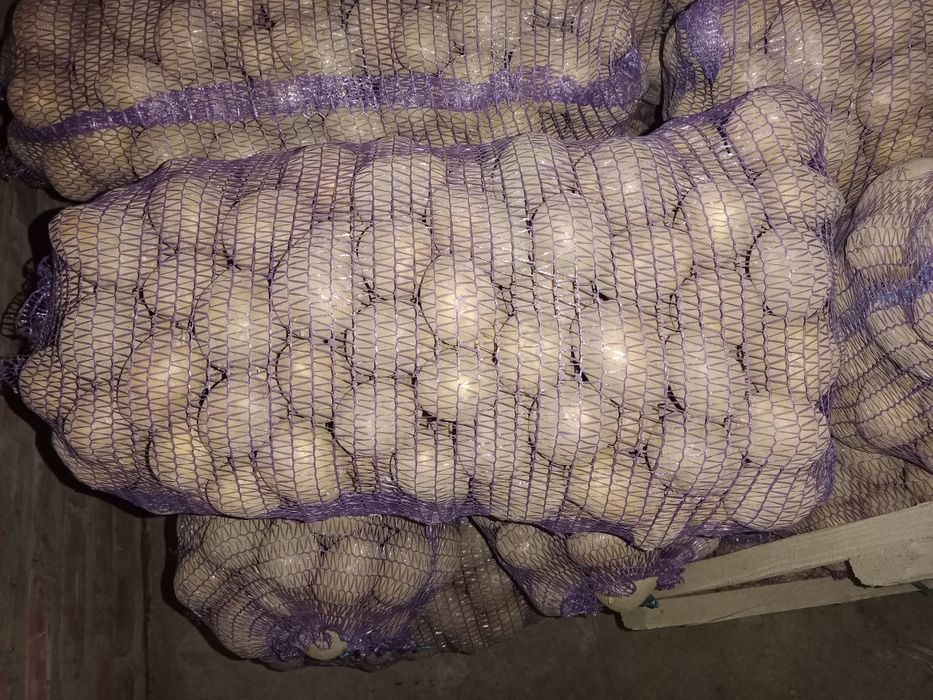 Продам картоплю,моркву, цибулю, буряк