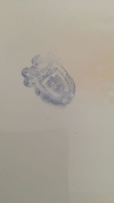 Louça Antiga-Terrina+4 pratos sopa+3sobremesa