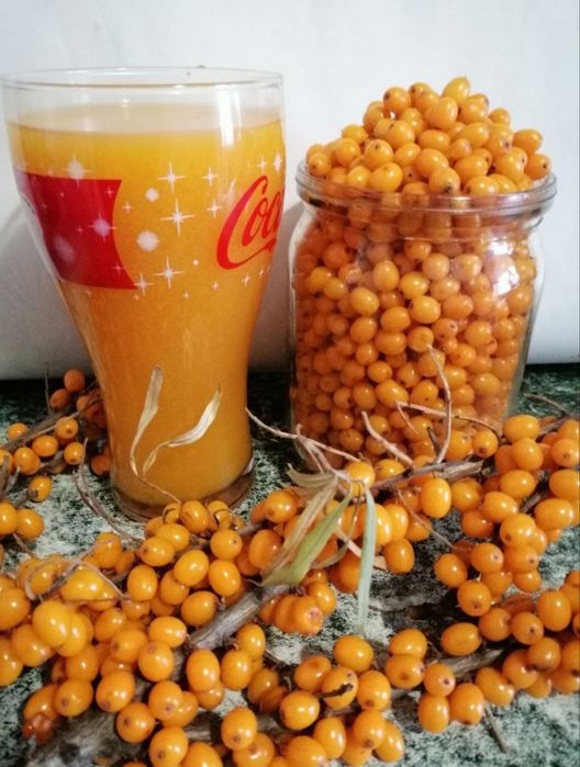 Продам облепиху перетёртую с сахаром.