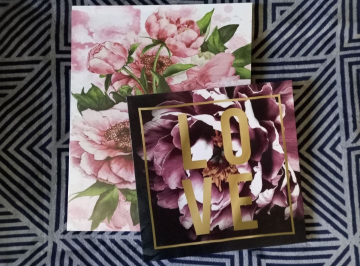 NOWE 2x canvas obraz na płótnie pepco love kwiaty piwonie