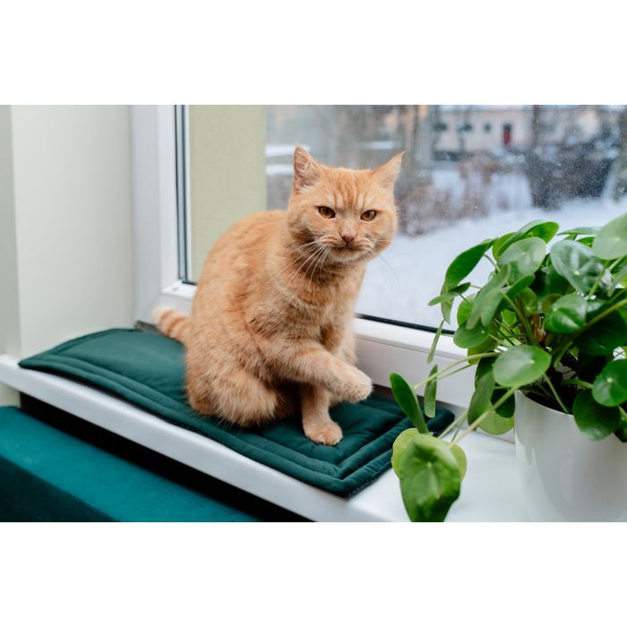 Maty na parapet dla kota MIMIKO Pets - za darmo