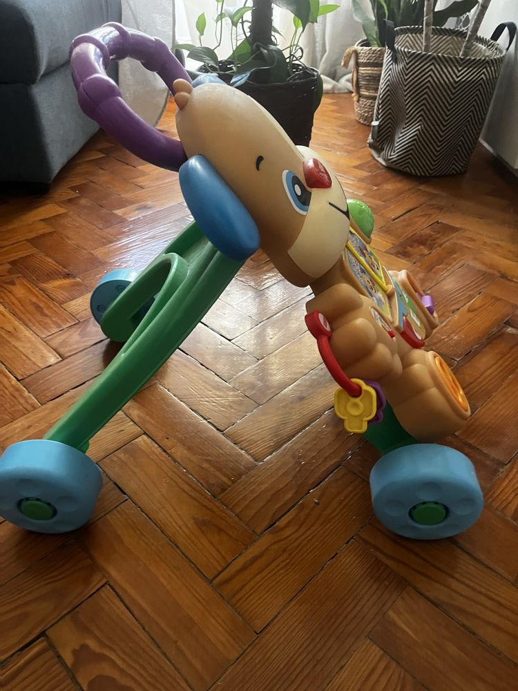 Primeiros Passos/Andarilho Bebe