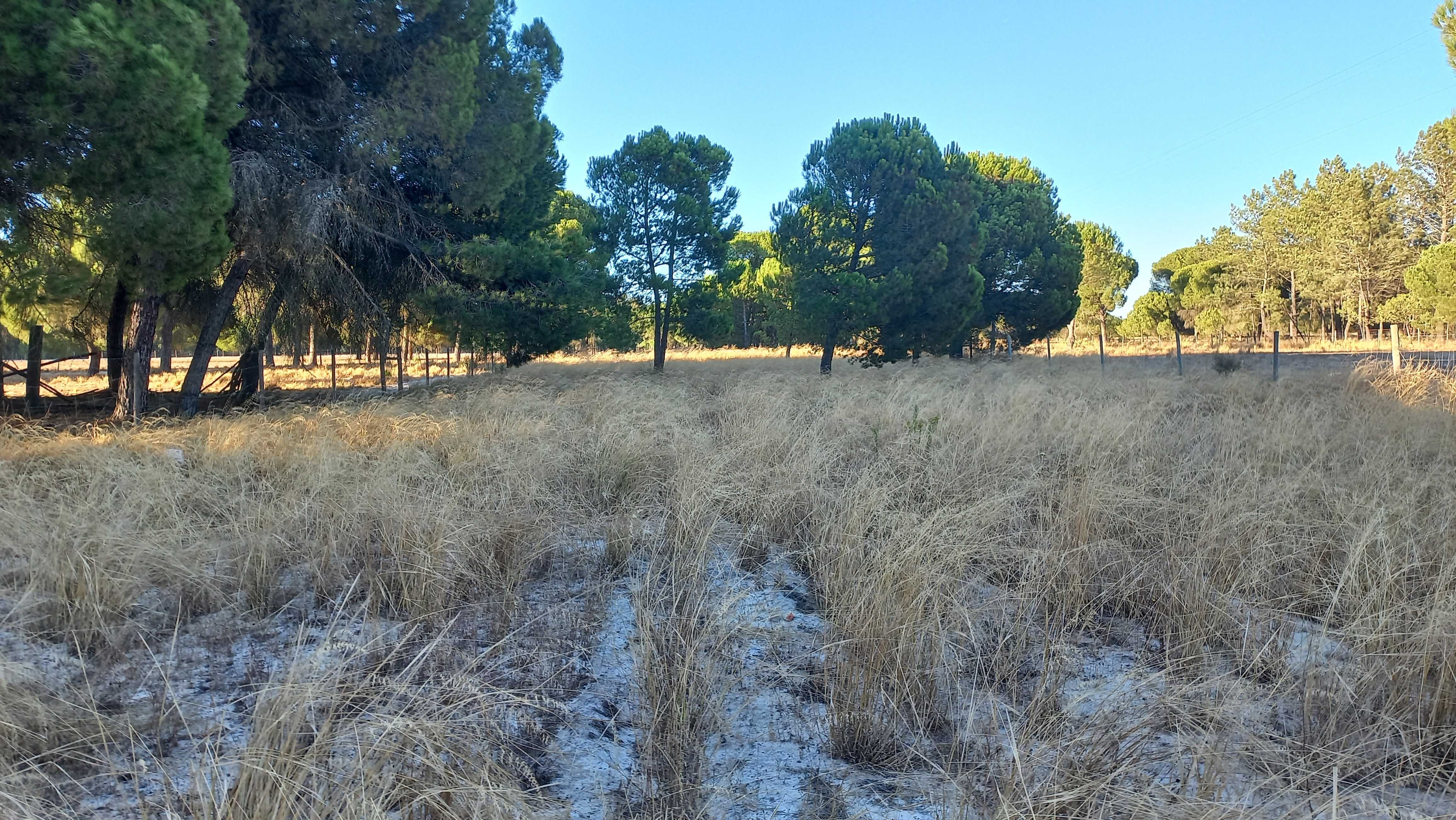 Terreno com habitação e arrecadações situado na Cilha Do Centeio