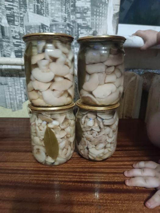 Мариновані гриби,варення з шишки
