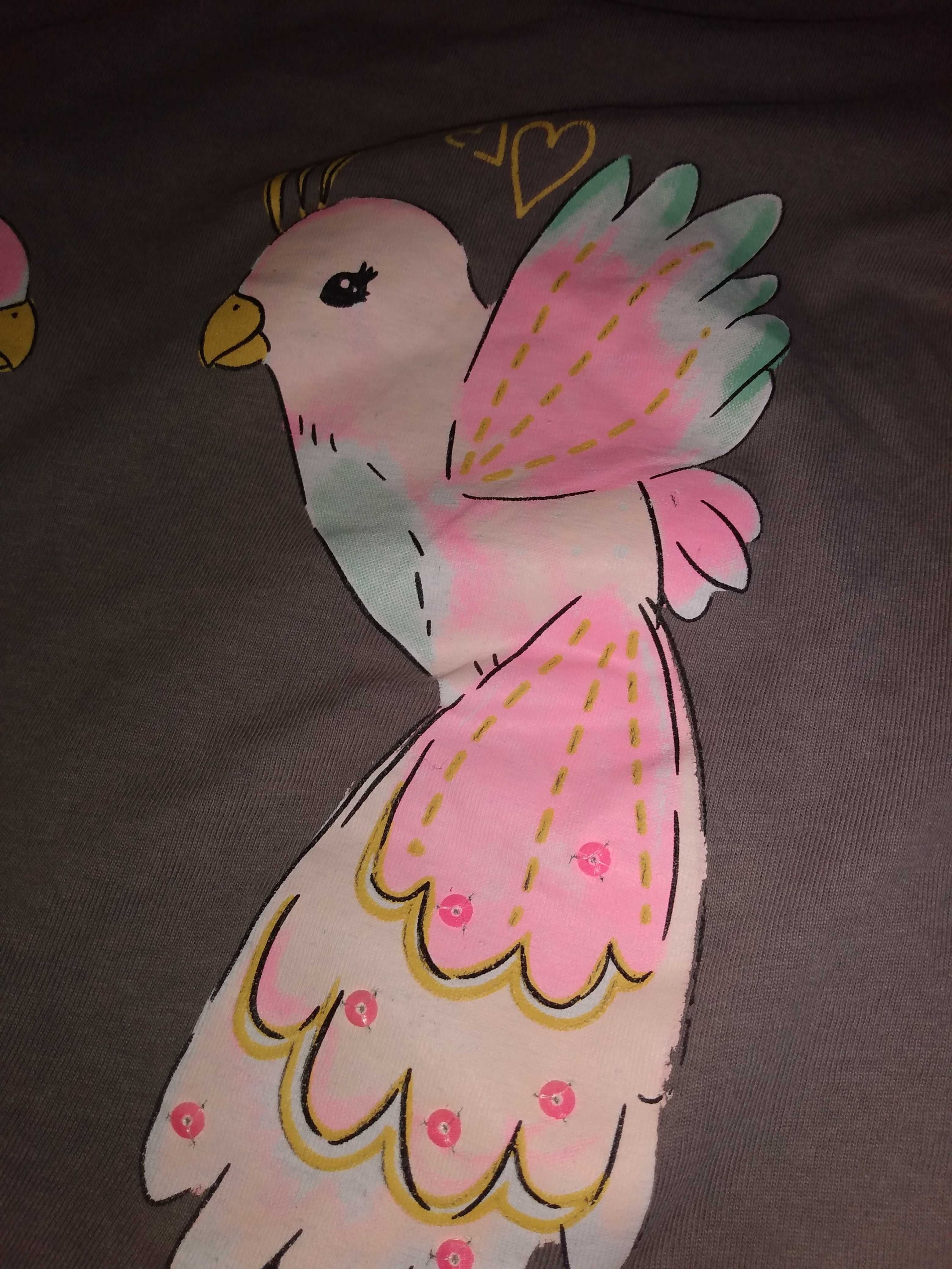 T-shirt z firmy smyk o 128 papugi TYCHY dla dziewczynki.