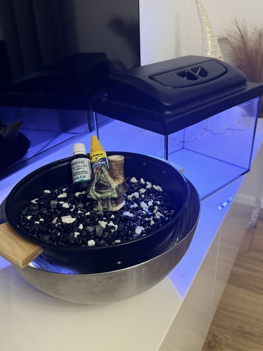 Akwarium 20L rybki zestaw