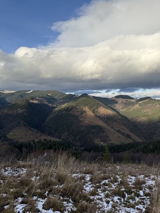 ТОП Дземброня 88сот