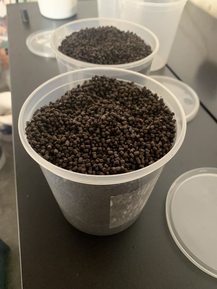Ração granulados de fundo para peixes envio ctt