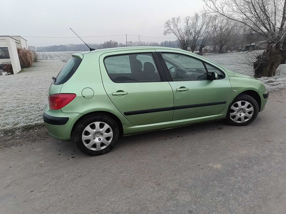 Sprzedam Peugeot 307 XS
