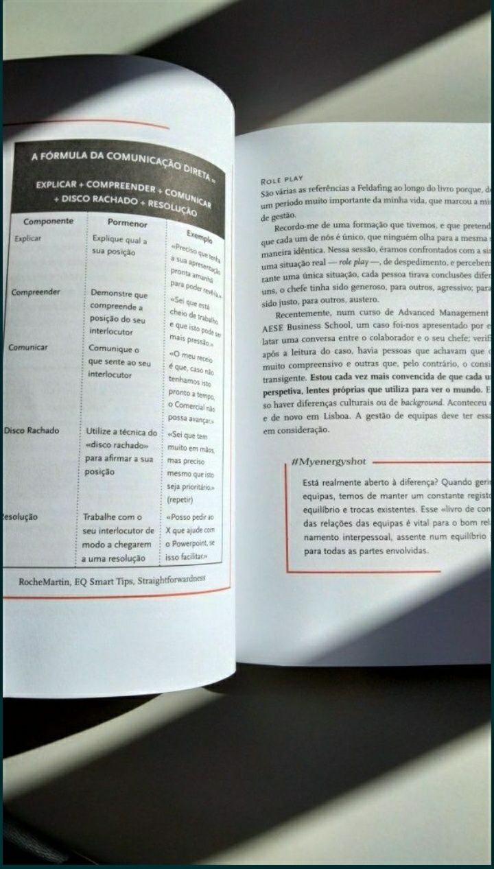 Manual de Sobrevivência para o Mundo Corporativo [COMO NOVO]