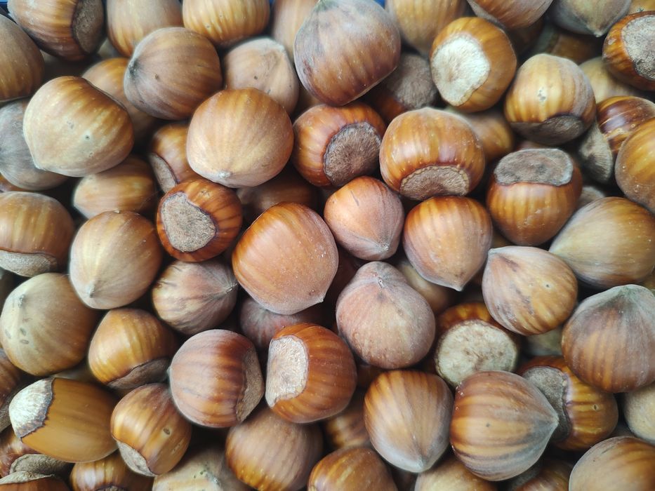Orzechy laskowe - niepryskane 3kg
