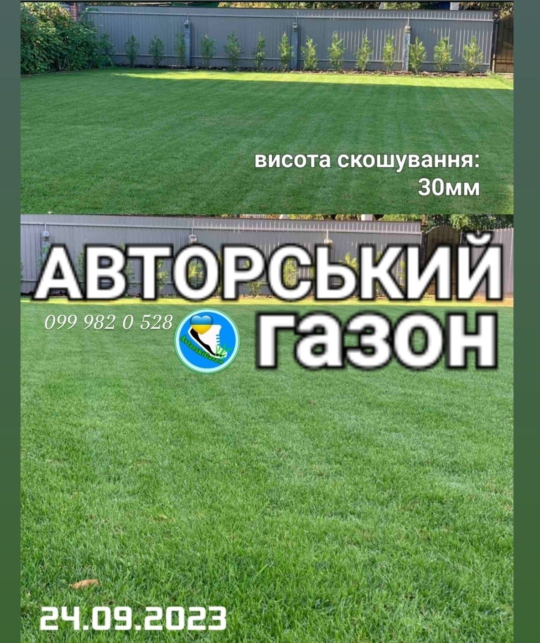 Авторський ГАЗОН Магазин якісних трав насіння СПОРТміні  мятлик полеви