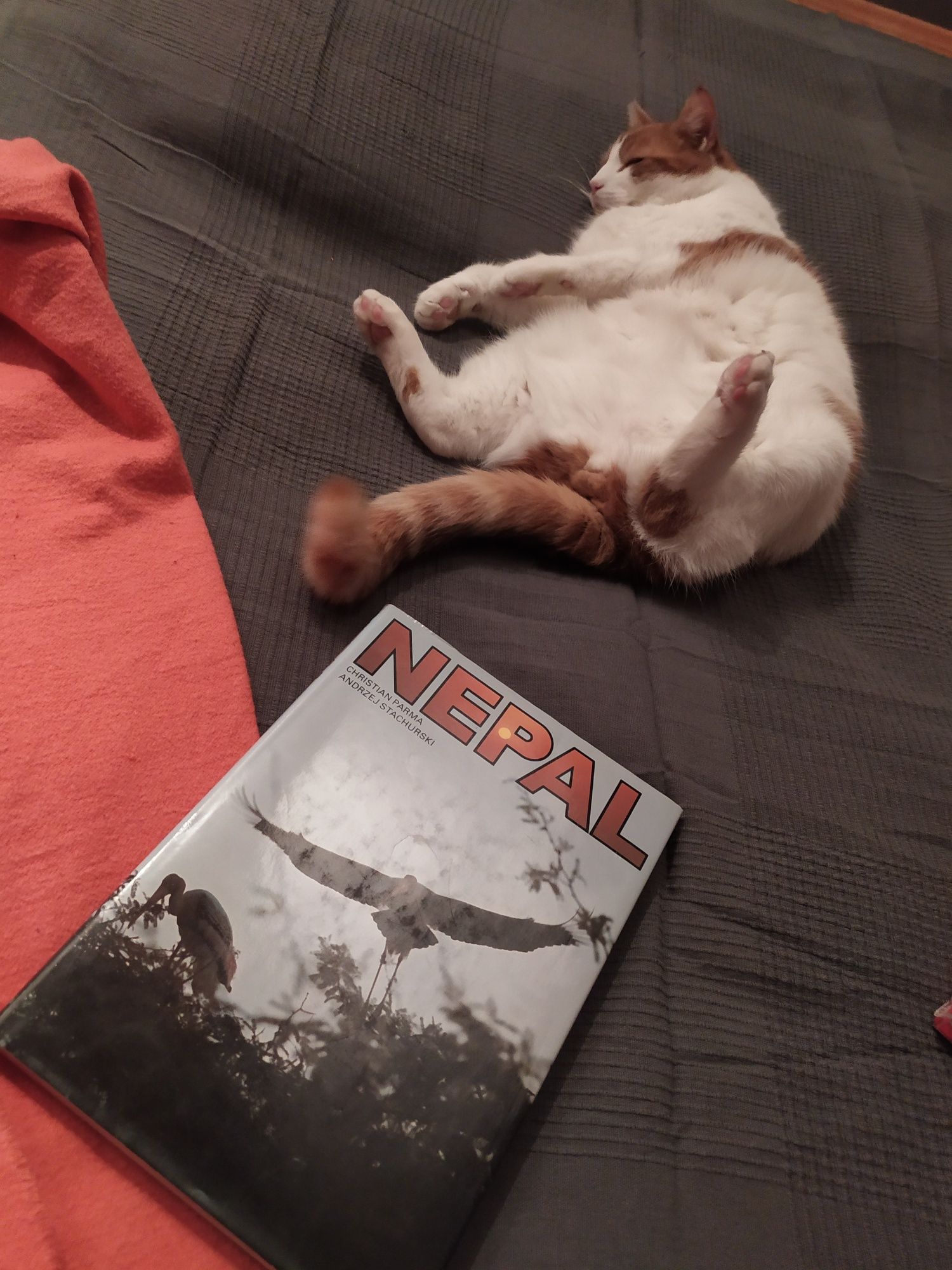 Album NEPAL idealny stan