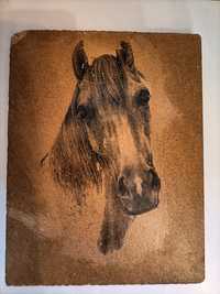 Obrazek koń na desce