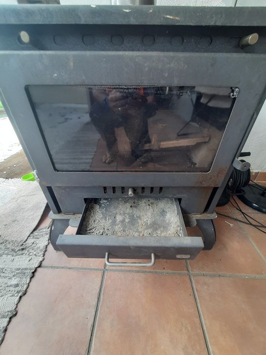 Salamandra em muito bom estado