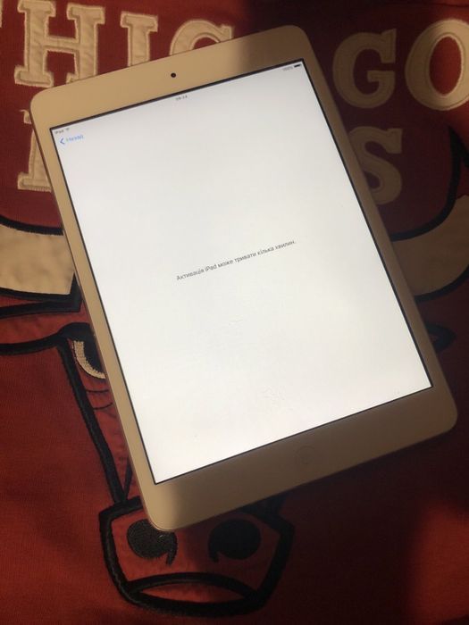 Ipad Mini 1 A1432 Состояние Блмба забила Айклауд