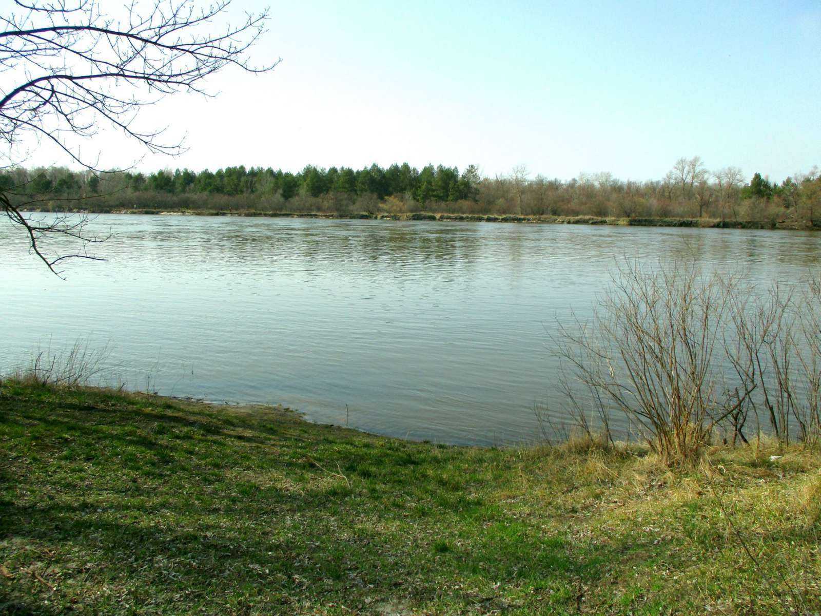 1,2 ГА під Базу відпочинку берег р Десна -село Рожни/ Базу отдыха