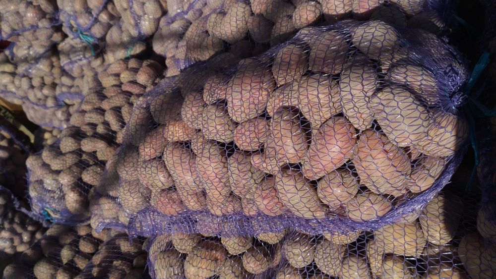 Продам картоплю домашню по 10грн