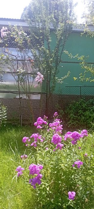 Вартість знижено! Продамо будинок Голубине Закарпаття курорт Поляна