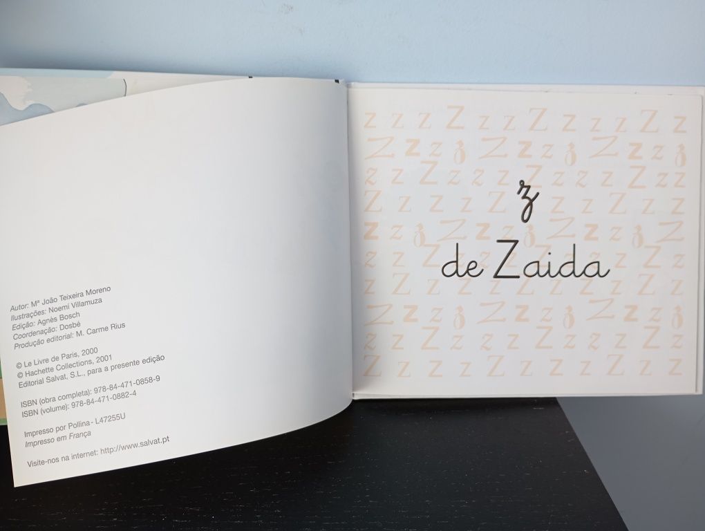 Livro Z de Zaida