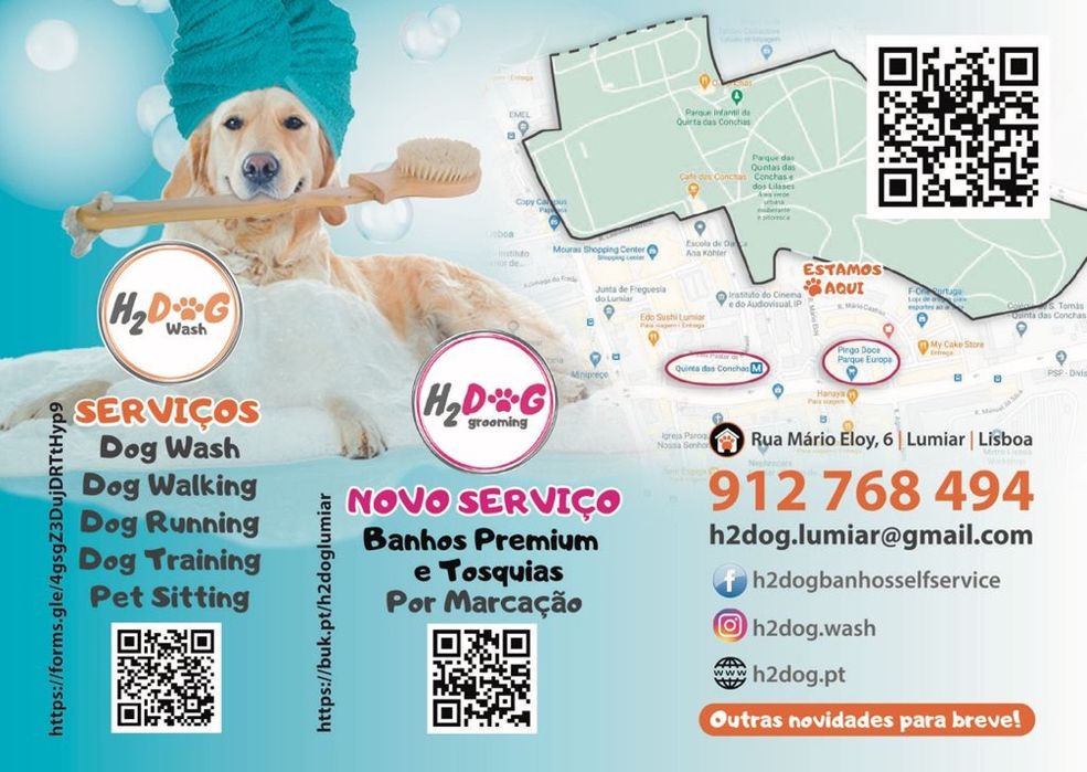 Dog Walking | Pet Sitting | Passear cães | Dogwalker | Almada