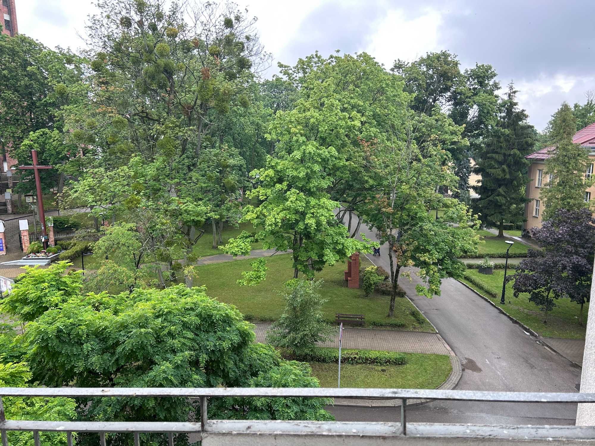 Mieszkanie dwupokojowe, 42 m2, Plac Wolności, centrum