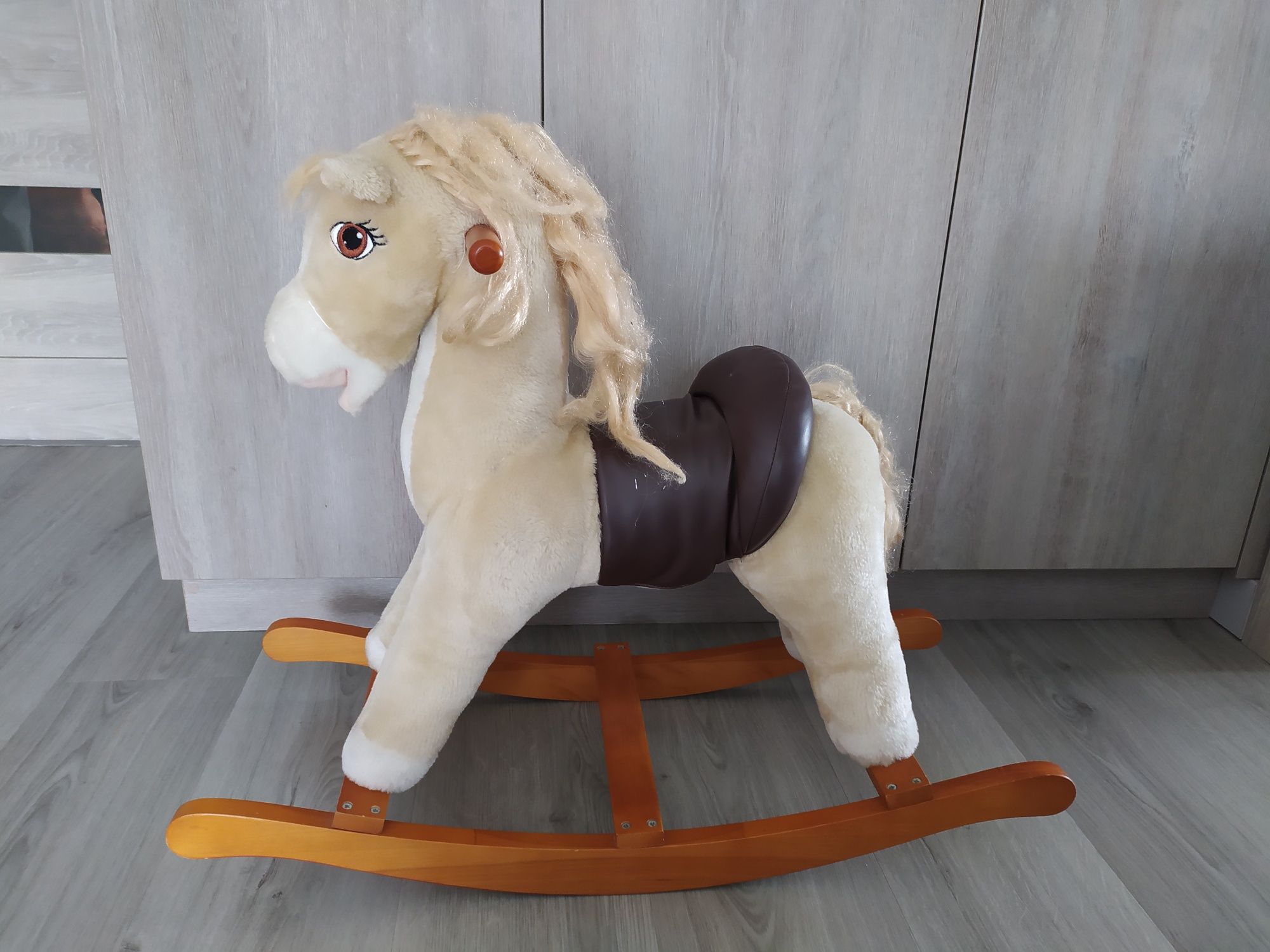 Konik na biegunach