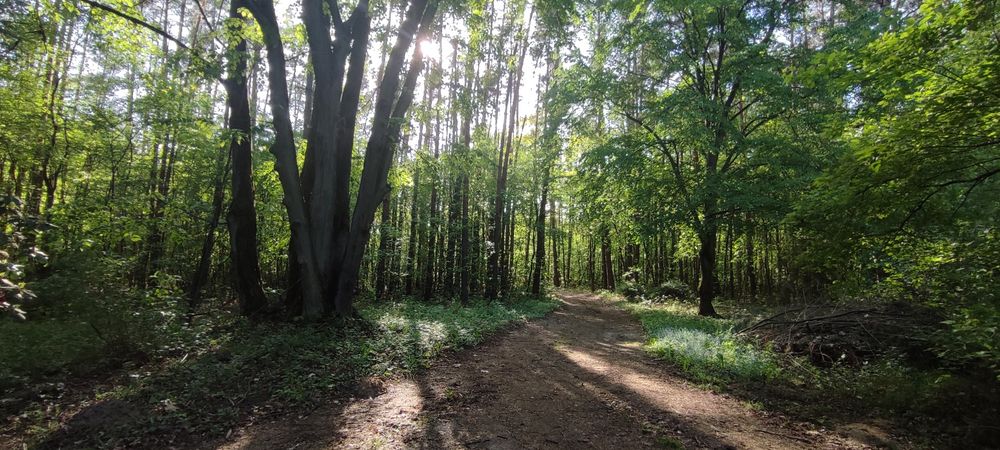 Działka budowlana w super lokalizacji !!!