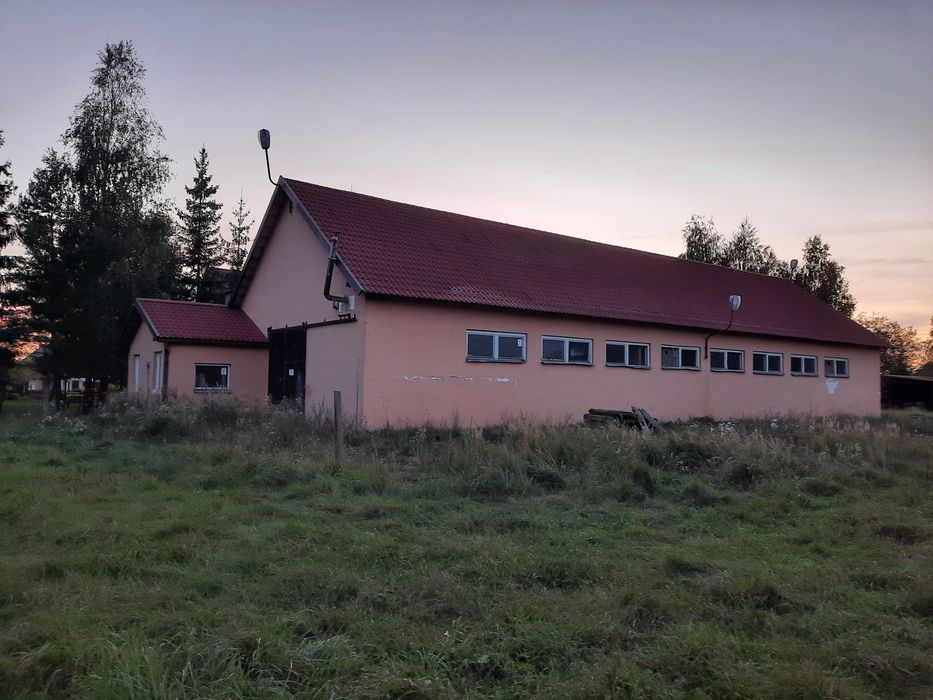 Wynajmę hale przy drodze krajowej w i  Gaudynki
