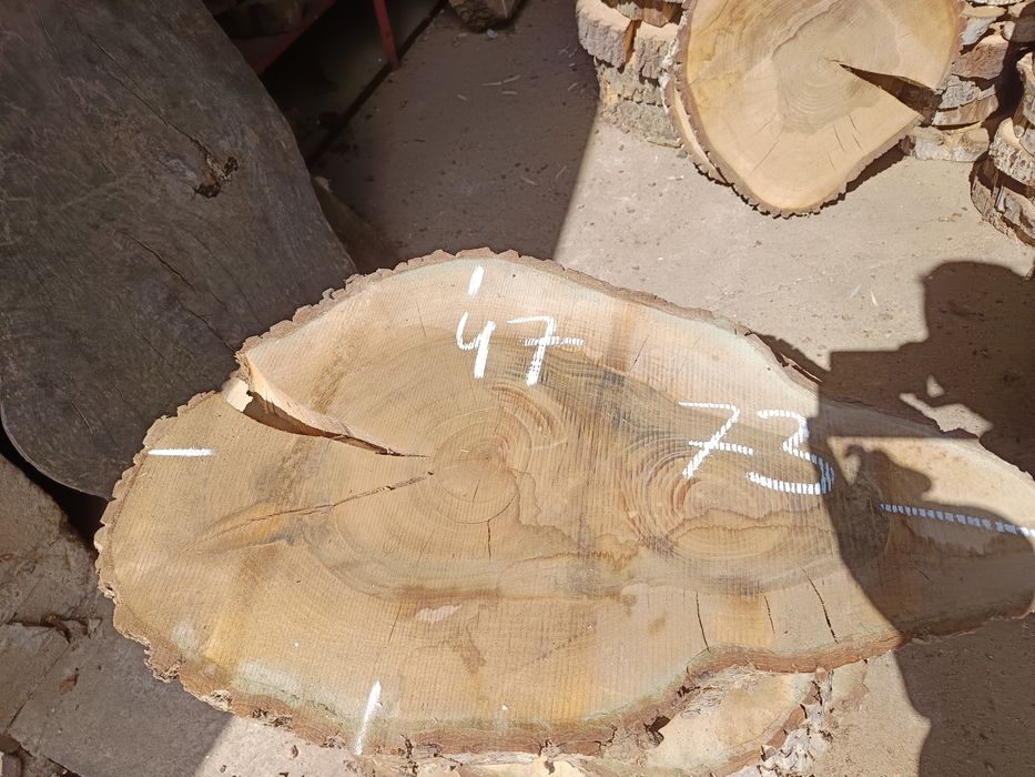 Plastry jesionowe i z orzecha włoskiego, suche  na stoliki itp.